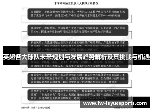英超各大球队未来规划与发展趋势解析及其挑战与机遇 英超各大球队未来规划与发展趋势解析及其挑战与机遇