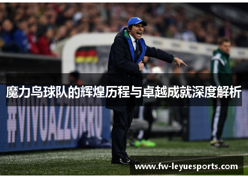 魔力鸟球队的辉煌历程与卓越成就深度解析