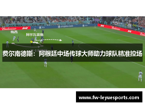 费尔南德斯：阿根廷中场传球大师助力球队精准控场