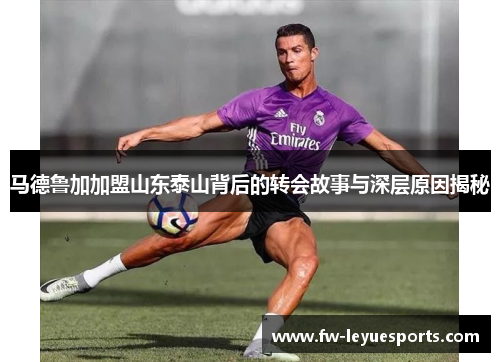 马德鲁加加盟山东泰山背后的转会故事与深层原因揭秘